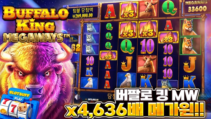 [버팔로킹메가웨이즈] 4636배 메가윈!!