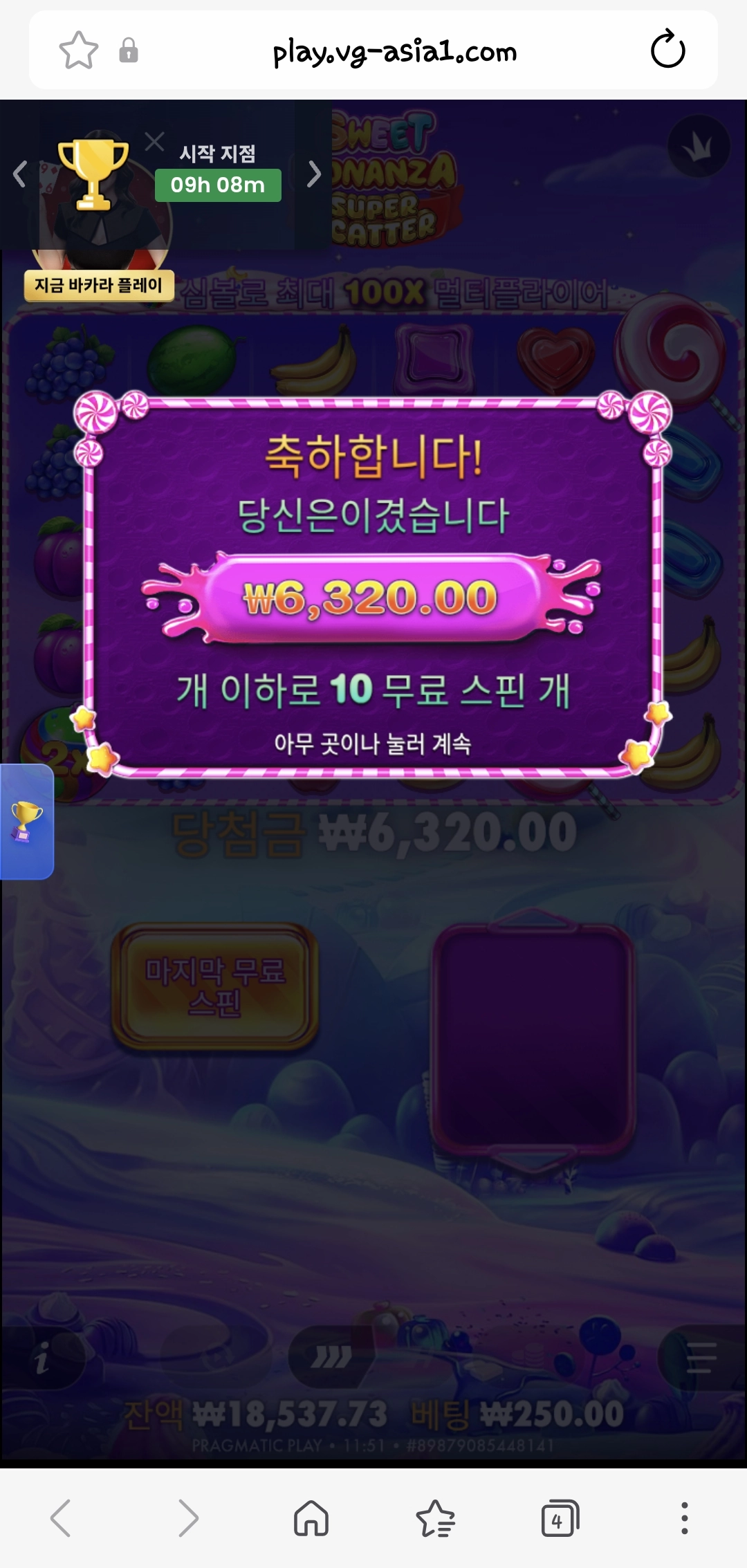 프라그마틱 스위트보난자